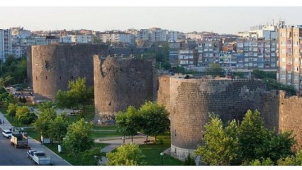 DİYARBAKIR'DA ET TAVUKLAR İMHA EDİLDİ