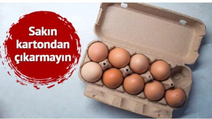 YUMURTA HAKKINDA BİLİNEN YANLIŞ BİLGİLER
