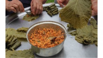 FINDIK YAPRAĞI SARMASI KANSERE DEVA‼️