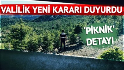 MUĞLA'DA ORMAN YASAĞI ‼️
