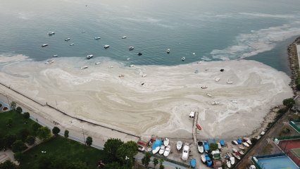 MARMARA DENİZİNDE MÜSİLAJ