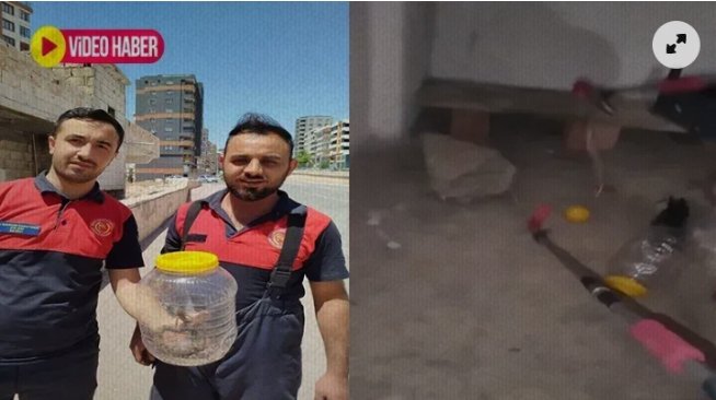 ŞANLIURFA'DA MUTFAKDA YILAN YAKALANDI ‼️