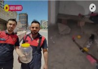  ŞANLIURFA'DA MUTFAKDA YILAN YAKALANDI ‼️